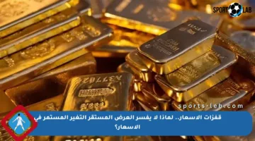 قفزات الأسعار.. لماذا لا يفسر العرض المستقر التغير المستمر في الأسعار؟
